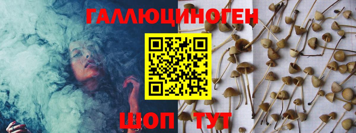 Галлюциногенные грибы мицелий Сертолово